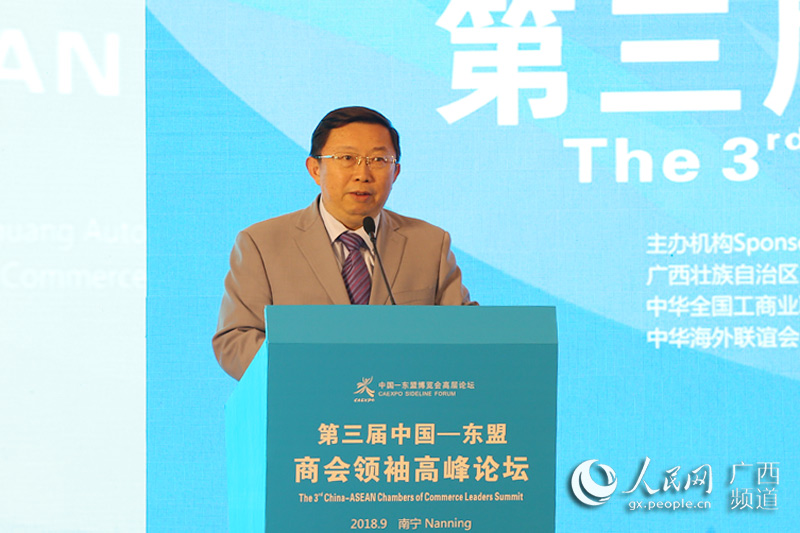 中國—東盟商務理事會理事長許寧寧發表演講