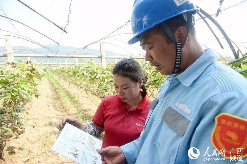 灵川 大圩 人口_市农广校组织农民赴桂林灵川县学习葡萄种植技术(2)