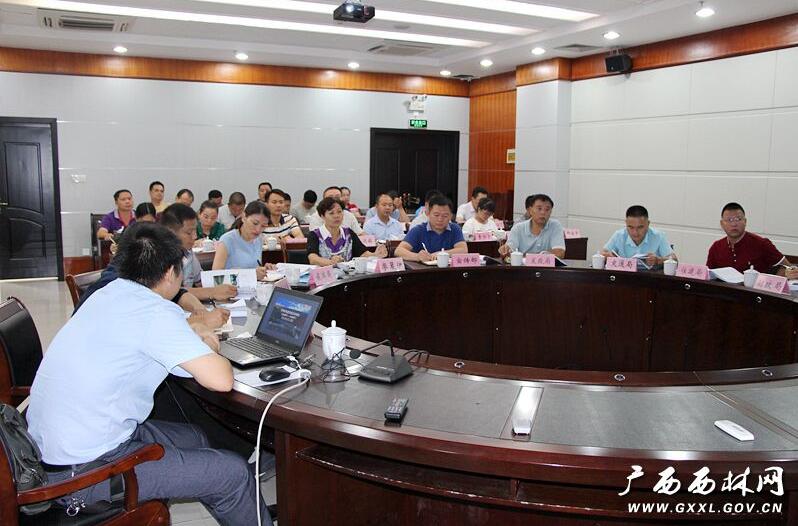 西林县召开旅游发展总体规划征求意见会--广西