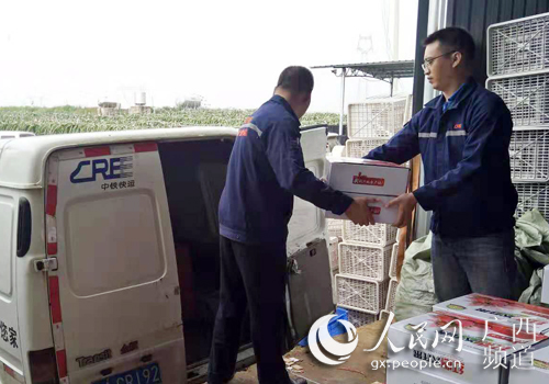 牵手高铁 广西火龙果走红朋友圈