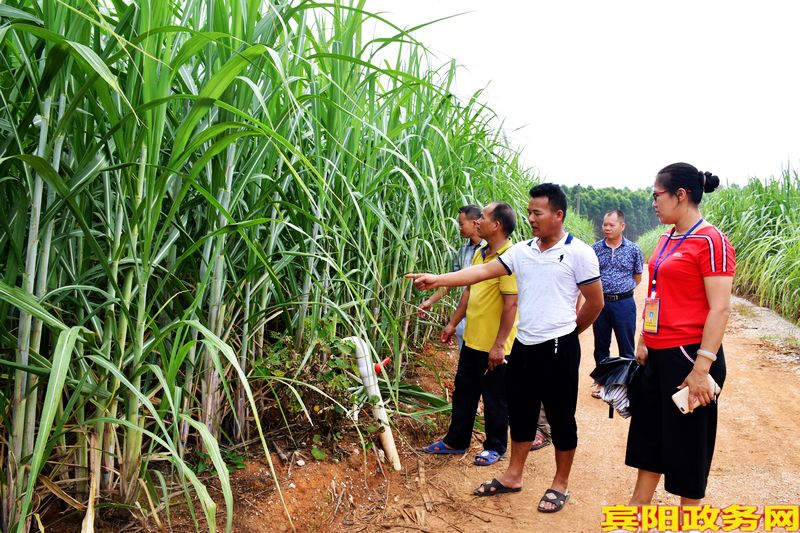 宾阳有多少人口_宾阳有五金冲床(3)