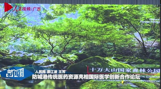 防城港傳統醫藥資源亮相國際醫學創新合作論壇