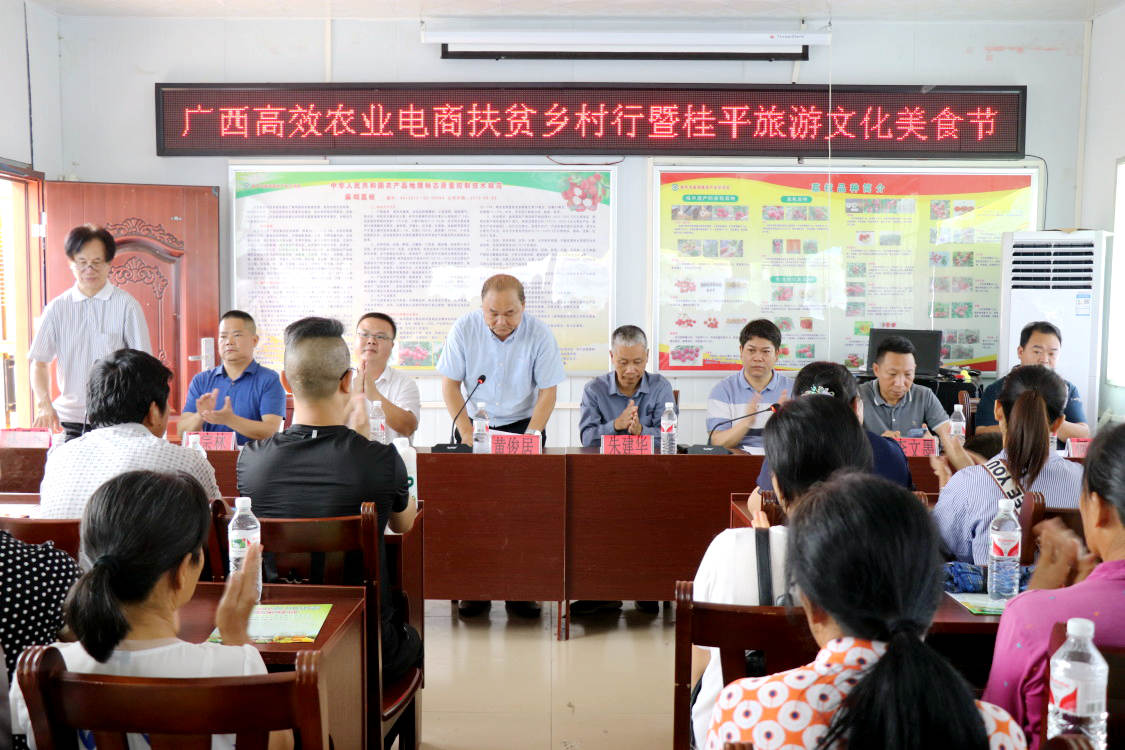 广西桂平市麻垌各村人口_广西桂平市麻垌镇