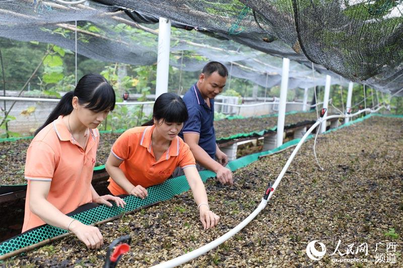 我们广西有多少人口_广西的面积和人口