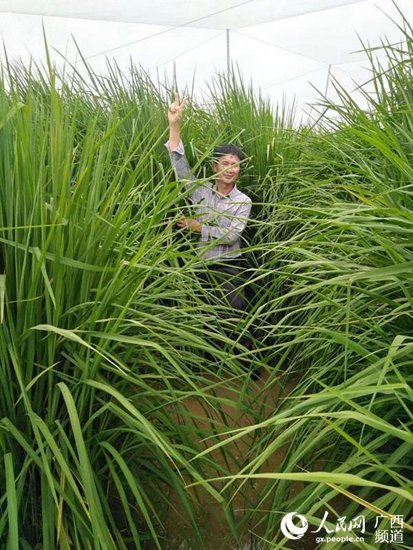巨东村人口_八巨镇案东村图片(3)