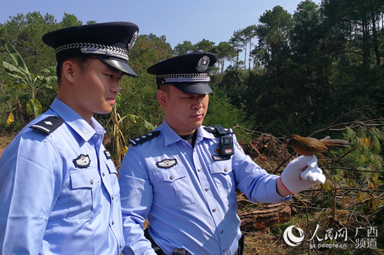 廣西崇左民警在中越邊境查獲野生畫眉350隻