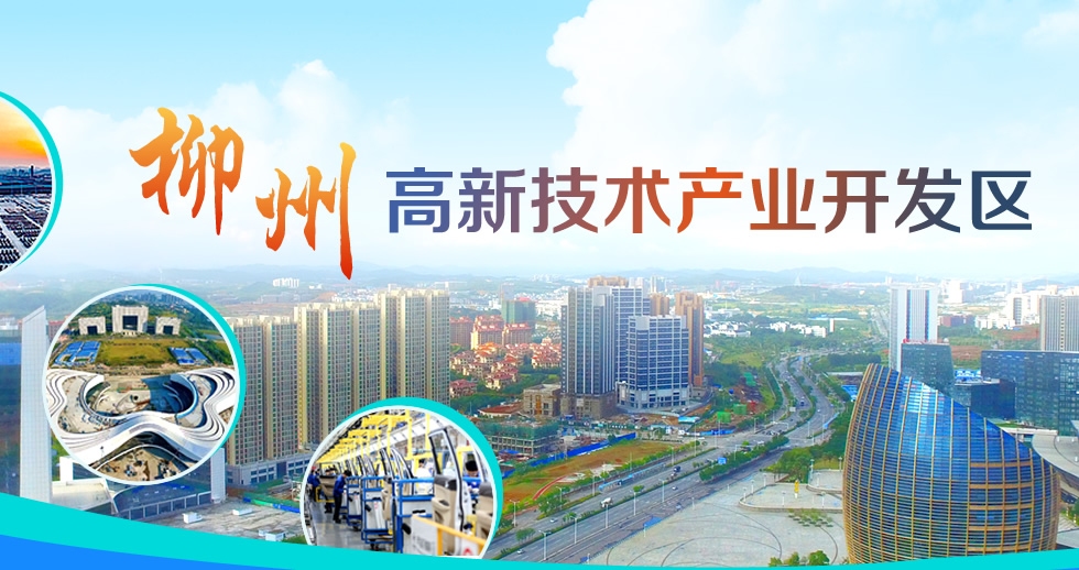 柳州高新技术产业开发区.fw_r1_c2