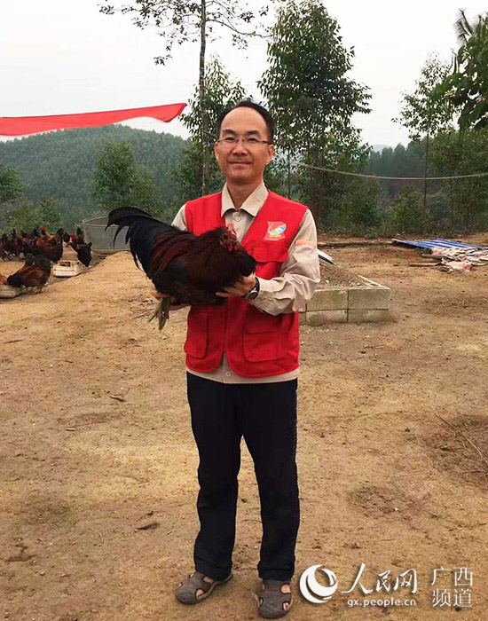 廖熙元为东安村的土鸡“代言”