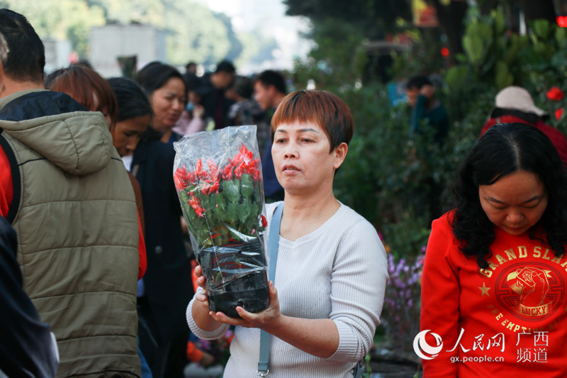 市民在玉林市花鳥市場選購盆栽。實習生吳振軍攝