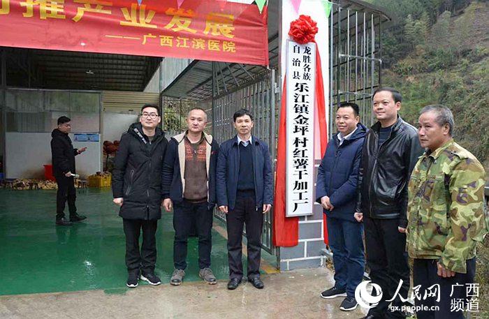 廣西江濱醫院資助的金坪村紅薯干加工廠隆重揭牌。趙凱玲攝