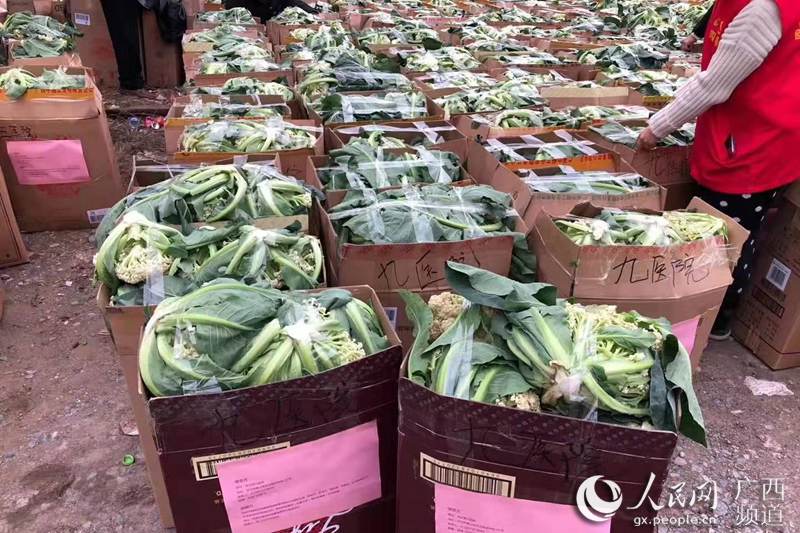 圖為送往湖北武漢的愛心蔬菜。徐紫娟攝