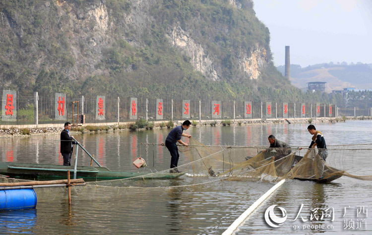 村民正在村集體經濟水域拉網。譚凱興攝