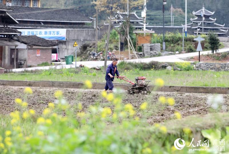 在廣西三江侗族自治縣良口鄉和裡村，村民正在田間勞作。吳練勛攝