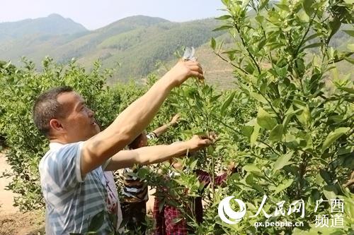 ���������Ա����ˮ���ܻ�������������ί��������ͼ