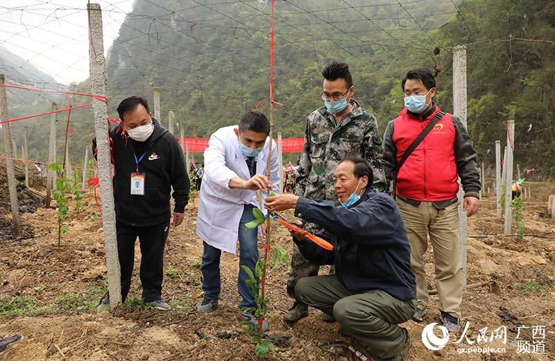 技術員正在指導村民種植百香果苗。班竹攝