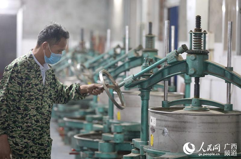3月8日，一名男子在三江侗族自治縣程村鄉古泉山茶業有限公司制作紅茶。龔普康攝