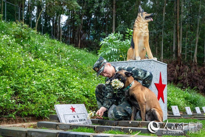 圖為馴導員孔德鑫和軍犬“凱特”向逝去的軍犬獻花。余海洋攝