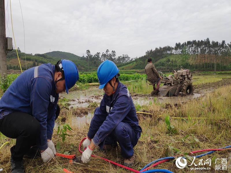 宜州区石别镇人口_宜州区三岔镇照片