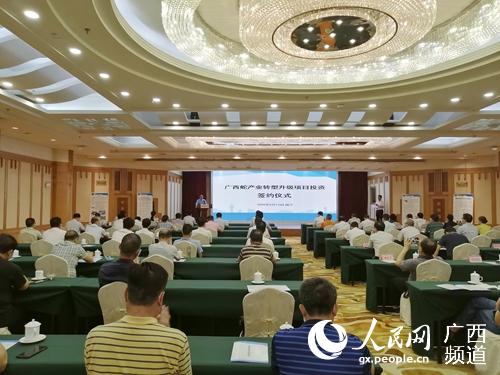 廣西蛇產業轉型升級項目投資簽約儀式在南寧舉行。王勇攝