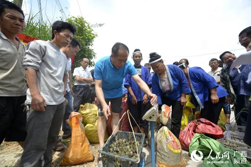 三江县良口乡白毛村贫困人口_三江县良口乡良帽村