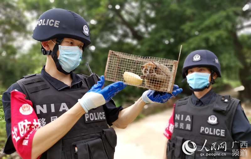 廣西憑祥民警再成功救助國家一級野生保護動物蜂猴。崇左公安局供圖
