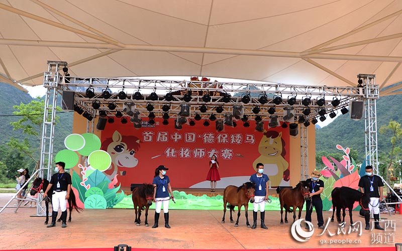 首屆中國德保矮馬化妝師大賽現場。陳嬋攝