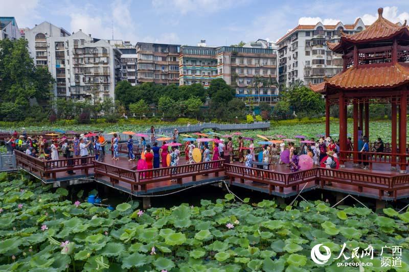 何华文摄7月2日上午,在广西梧州市潘塘荷花公园,荷花绽放,来自梧州市