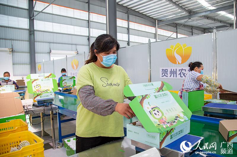 富川農產品電商產業園的工人正在打包裝運冰淇梨。吳明江攝