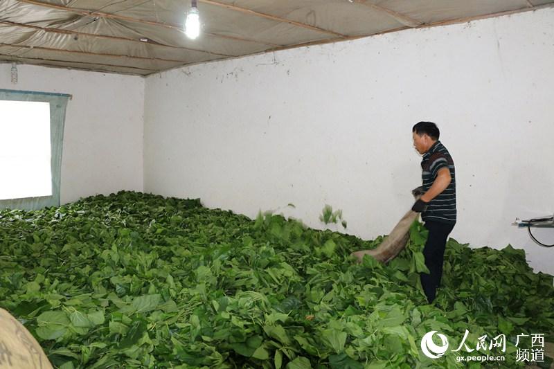 ���˽��ɻص�ɣҶж����⡣̷������