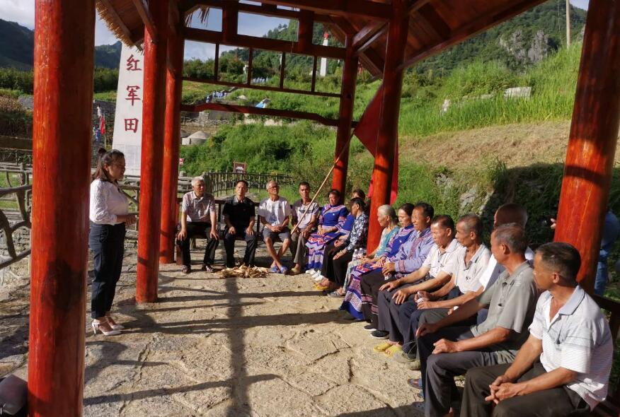 在该县红色教育基地中亭村"红军田"开讲,拉开了凤山县"党课开讲啦"