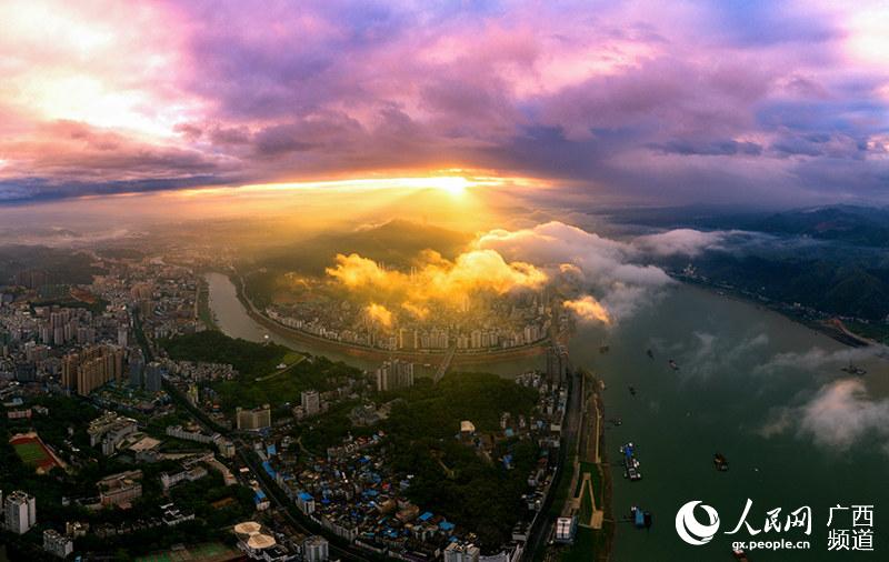 8月13日清晨，梧州市現綺麗雲霧朝霞美景。何華文攝