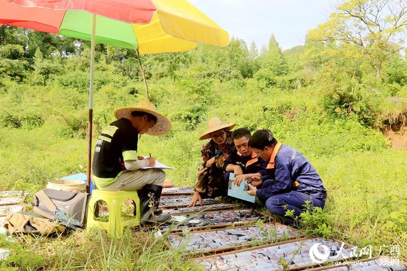 地質技術員在觀察岩心。杜小品攝