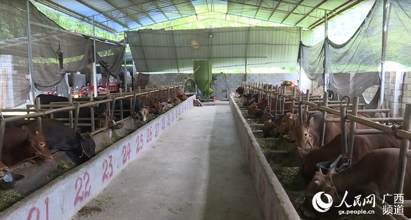 Ū������ţ��ֳ�����硣������