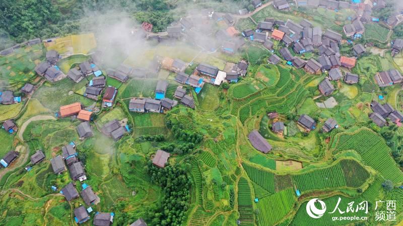 雨后的三江侗族自治縣獨峒鎮林略村風景。龔普康攝
