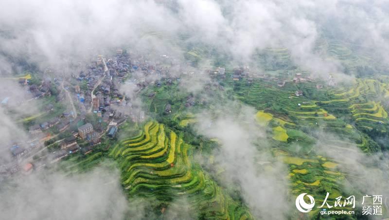 雨后的三江侗族自治縣獨峒鎮林略村風景。龔普康攝