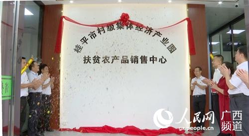 ��ƽ�д弶���徭�ò�ҵ԰�߷�ƶũ��Ʒ�������Ľ����ֳ�����｡��