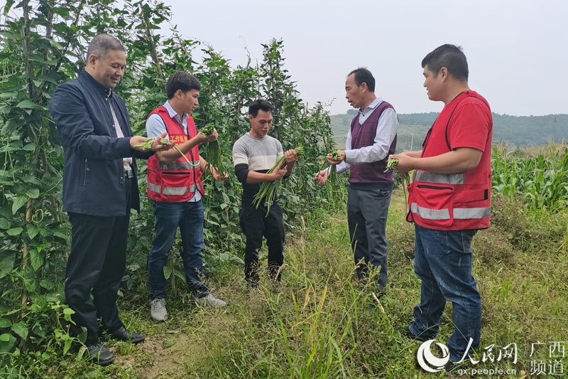 水头镇有多少人口_水头这个路口车流量 人流量较大,但却未设红绿灯...(3)