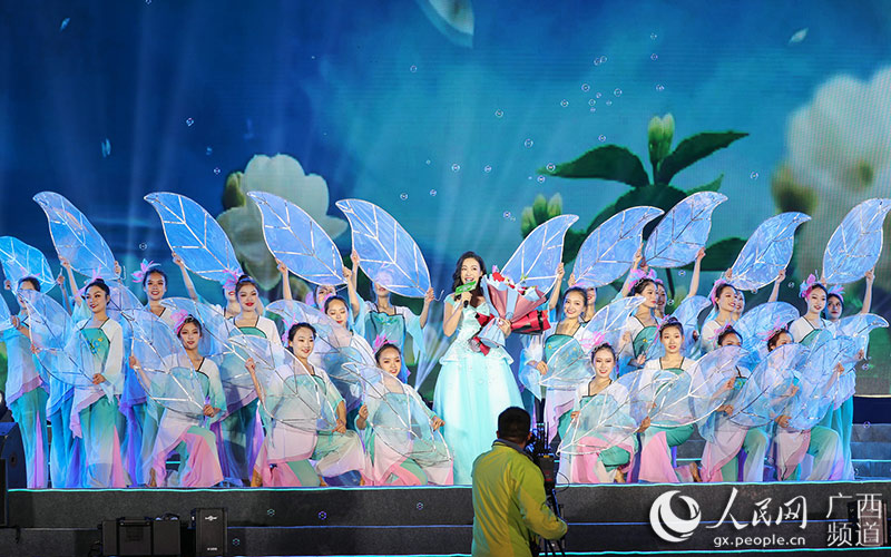 歌舞表演《難忘茉莉花》。黃汝德攝