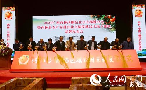 ����ɳ�ǽ�������Ʒ�Ʒ�����ʽ�ֳ�������Ⱥ��