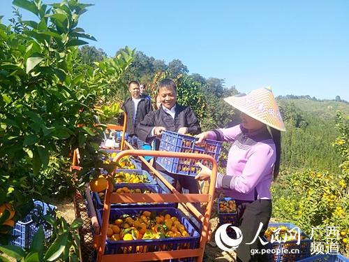 �����ʹ��ɽ�ع��������˹��ֳ�������ͥ��