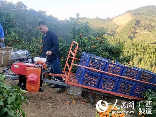 �����ʹ��ɽ�ع��������˹��ֳ�������ͥ��