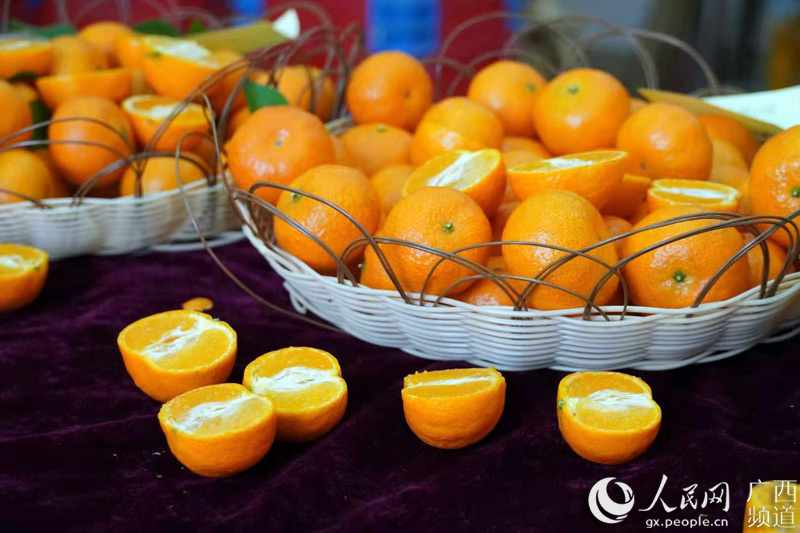 香甜的蜜橙。鹿寨縣融媒體中心供圖