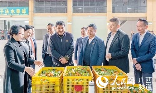 �쵼�α���ˮ���������ιۿ��졣�����