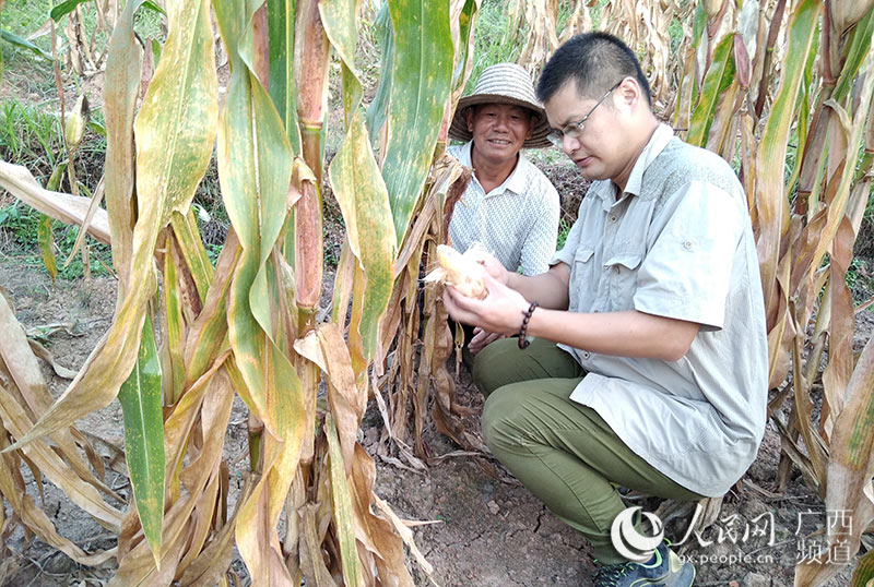 李慶林（右）在田間地頭了解貧困戶的種植收成。廣西體育局供圖