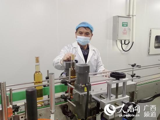 南寧市良慶區：興產業穩就業促增收