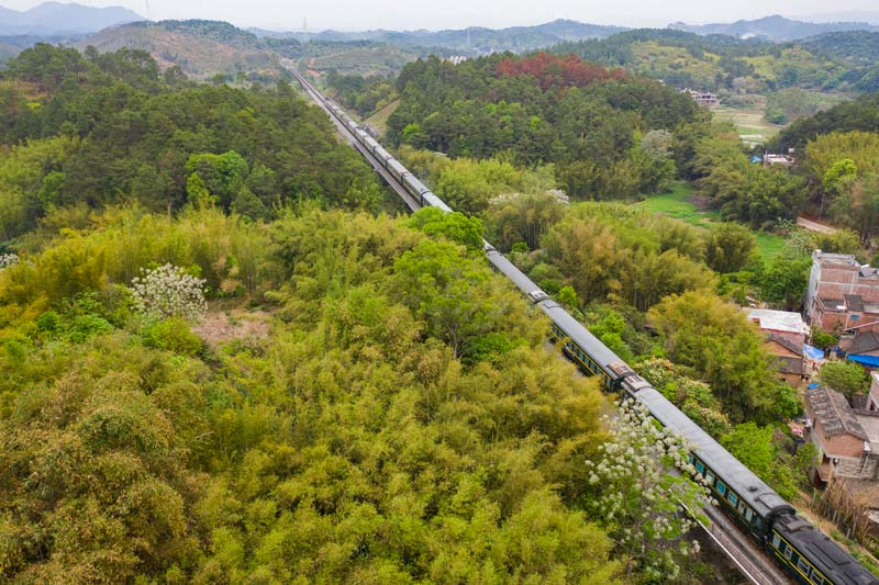梧州：开往春天的绿皮火车一列从南宁到上海的绿皮火车搭载乘客欣赏沿途美景。火车穿过广西梧州市万秀区夏郢镇凤凰村色彩斑斓的秀美田园，被游客誉为开往春天的绿皮火车。…【详细】 