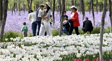 永定河畔休闲赏花