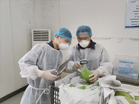 工作人員正在查驗。吳鳳新攝
