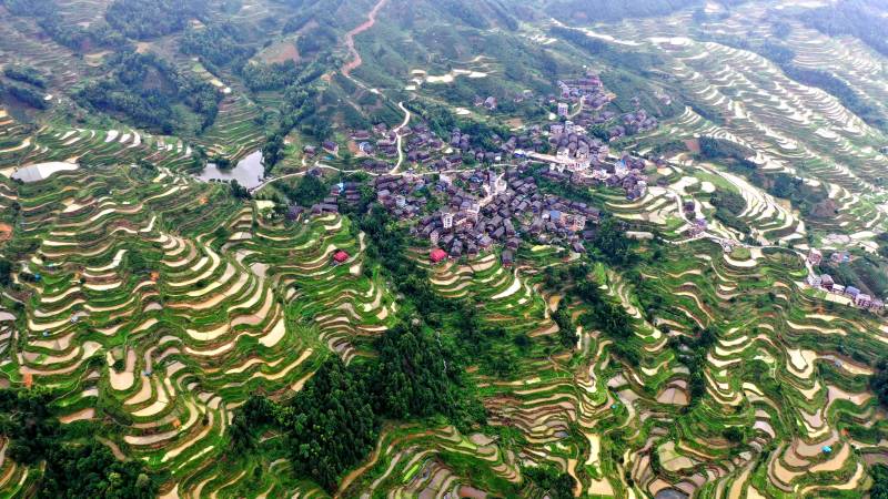 無人機拍攝的三江侗族自治縣同樂苗族鄉高武村梯田。龔普康攝