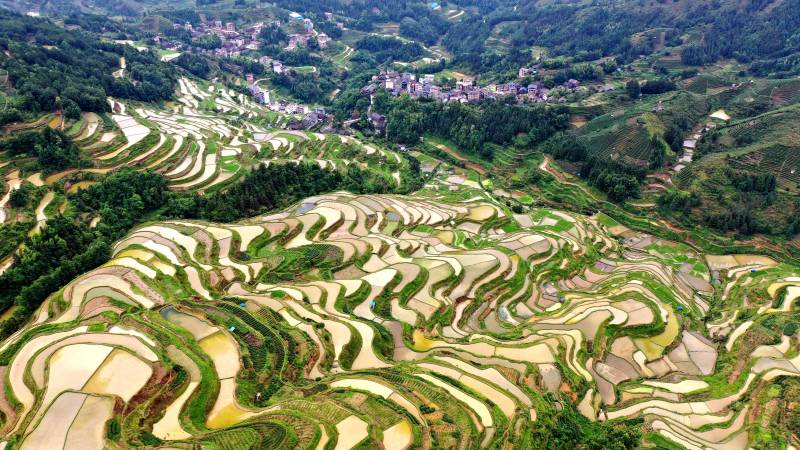 無人機拍攝的三江侗族自治縣同樂苗族鄉高武村梯田。龔普康攝